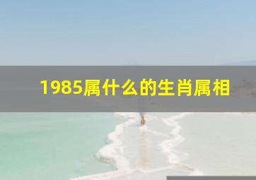 1985属什么的生肖属相