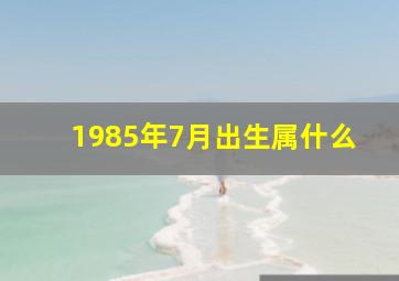 1985年7月出生属什么