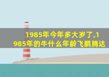 1985年今年多大岁了,1985年的牛什么年龄飞鹏腾达