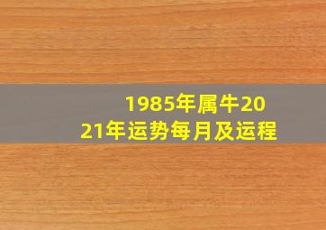 1985年属牛2021年运势每月及运程