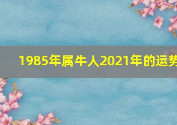 1985年属牛人2021年的运势