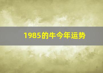 1985的牛今年运势