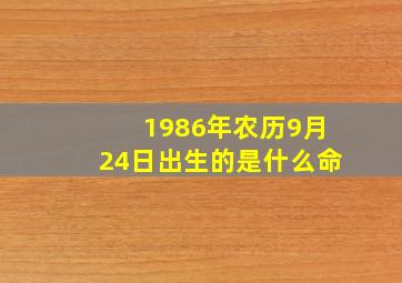 1986年农历9月24日出生的是什么命