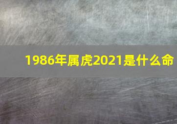 1986年属虎2021是什么命