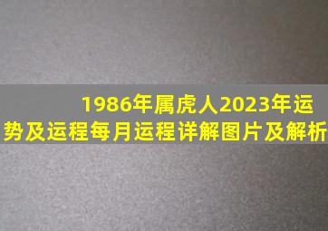 1986年属虎人2023年运势及运程每月运程详解图片及解析