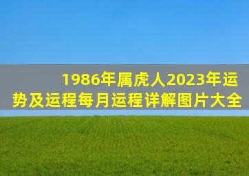 1986年属虎人2023年运势及运程每月运程详解图片大全