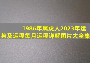 1986年属虎人2023年运势及运程每月运程详解图片大全集