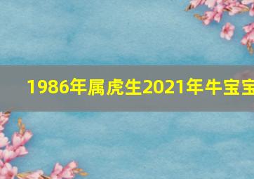 1986年属虎生2021年牛宝宝