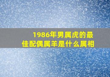 1986年男属虎的最佳配偶属羊是什么属相