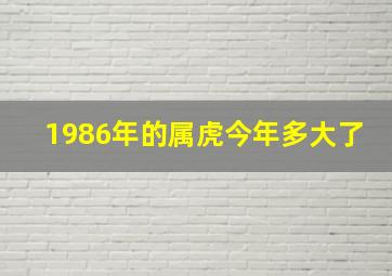 1986年的属虎今年多大了