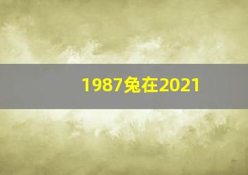 1987兔在2021