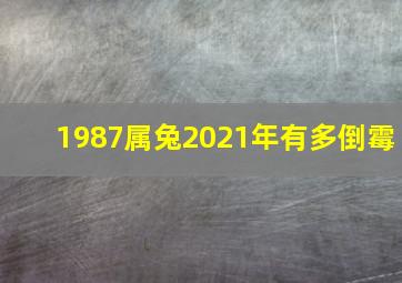 1987属兔2021年有多倒霉