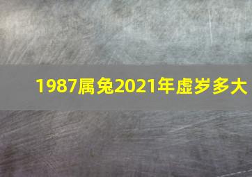 1987属兔2021年虚岁多大