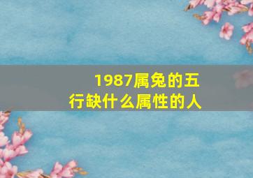 1987属兔的五行缺什么属性的人