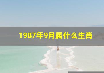 1987年9月属什么生肖