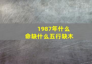 1987年什么命缺什么五行缺木