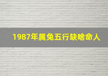 1987年属兔五行缺啥命人