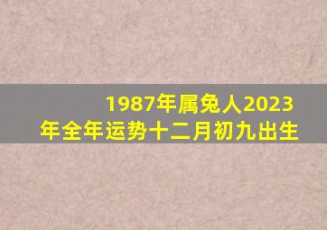 1987年属兔人2023年全年运势十二月初九出生