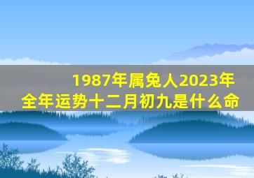 1987年属兔人2023年全年运势十二月初九是什么命