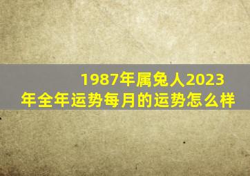 1987年属兔人2023年全年运势每月的运势怎么样