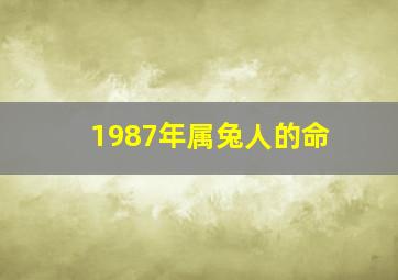 1987年属兔人的命