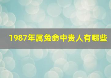 1987年属兔命中贵人有哪些