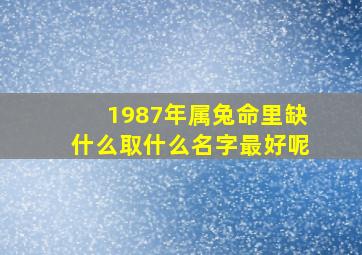 1987年属兔命里缺什么取什么名字最好呢