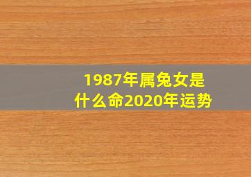 1987年属兔女是什么命2020年运势