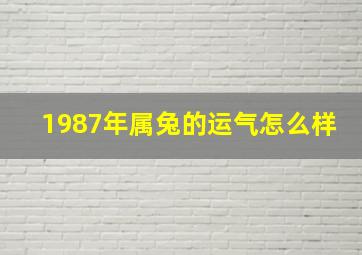 1987年属兔的运气怎么样