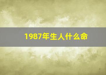 1987年生人什么命