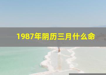 1987年阴历三月什么命