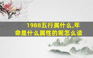 1988五行属什么,年命是什么属性的呢怎么读