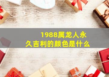 1988属龙人永久吉利的颜色是什么