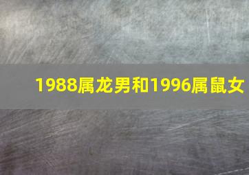 1988属龙男和1996属鼠女