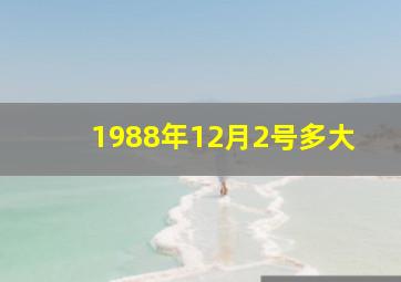 1988年12月2号多大