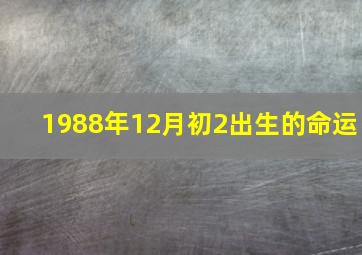 1988年12月初2出生的命运