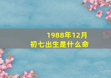 1988年12月初七出生是什么命