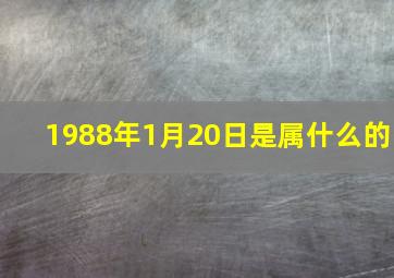 1988年1月20日是属什么的