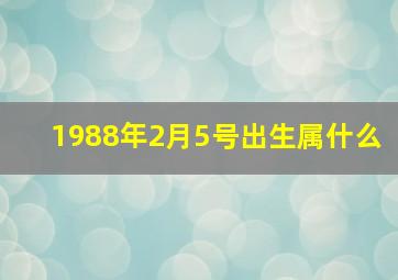 1988年2月5号出生属什么