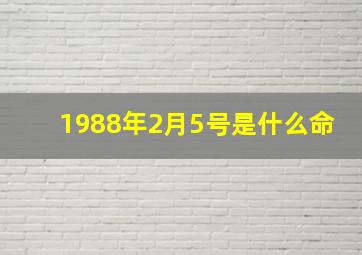 1988年2月5号是什么命