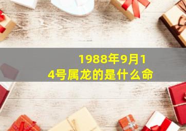 1988年9月14号属龙的是什么命