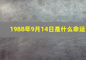 1988年9月14日是什么命运