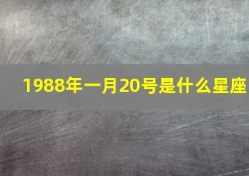 1988年一月20号是什么星座