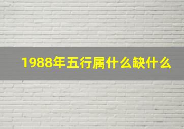 1988年五行属什么缺什么