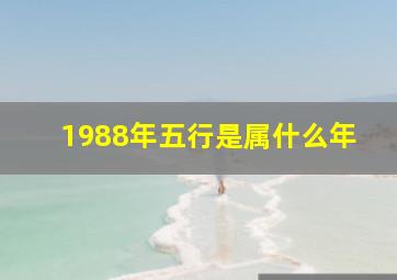 1988年五行是属什么年