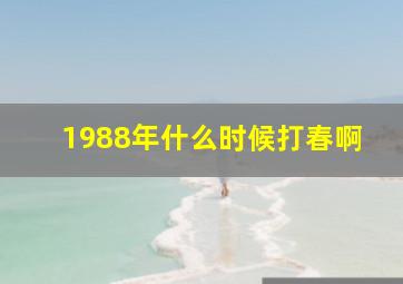 1988年什么时候打春啊