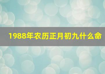 1988年农历正月初九什么命