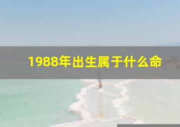 1988年出生属于什么命