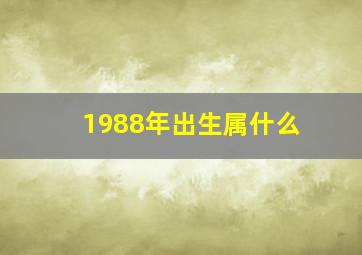 1988年出生属什么