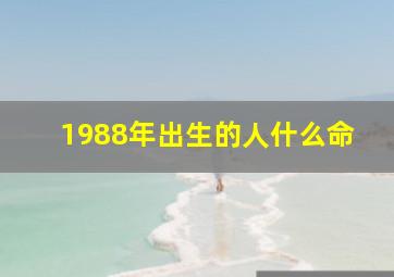 1988年出生的人什么命